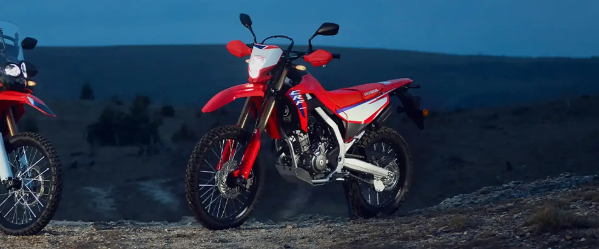 New Honda CRF300L